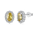 [Clover Jewelry]Zarte, einzigartige, oval geschliffene Alltags-Ohrringe